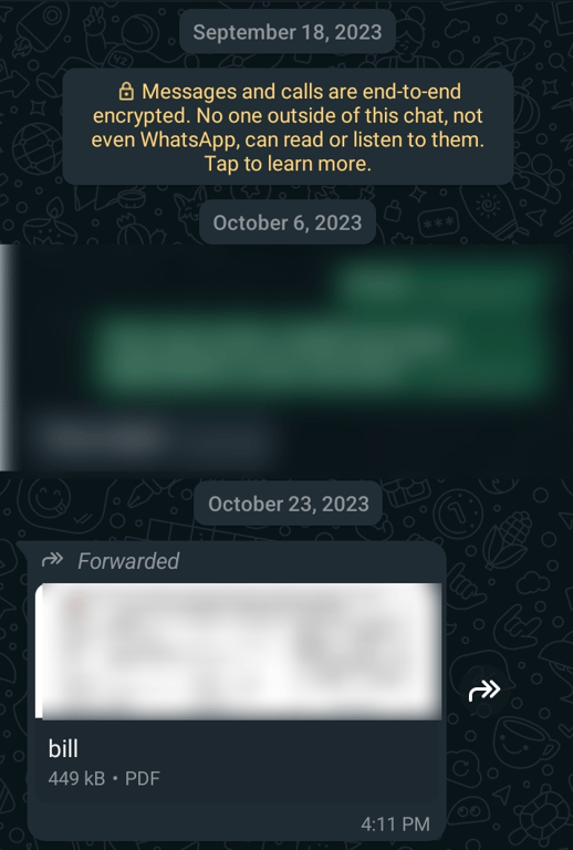 An example of a WhatsApp document message.