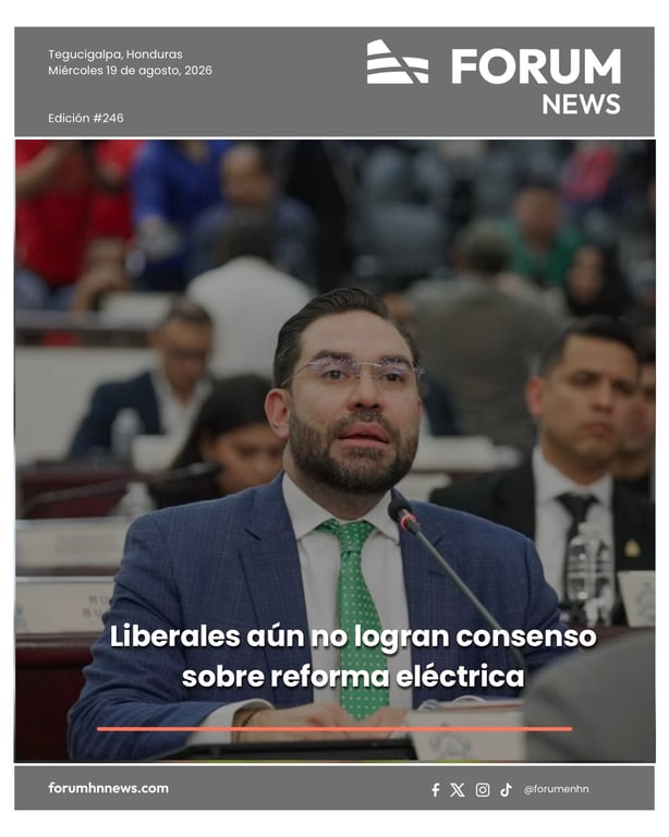 Liberales aún no logran consenso sobre reforma eléctrica