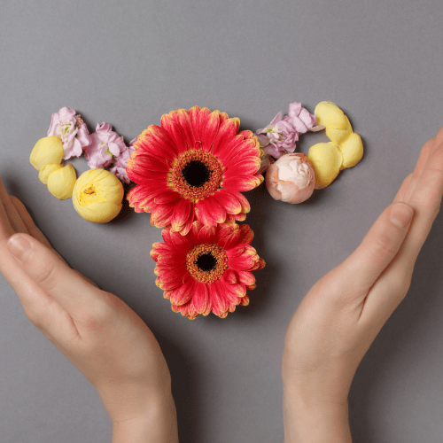Flowers representing female reproductive system