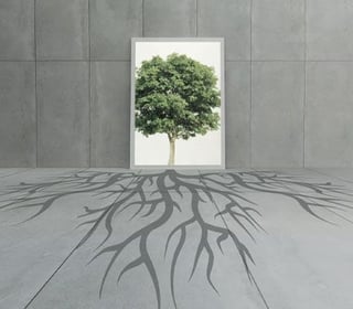 sustainability