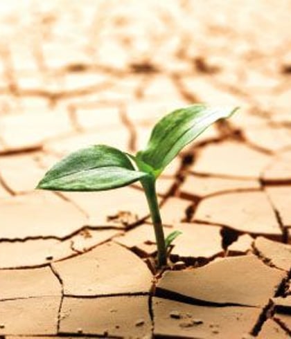 sustainability