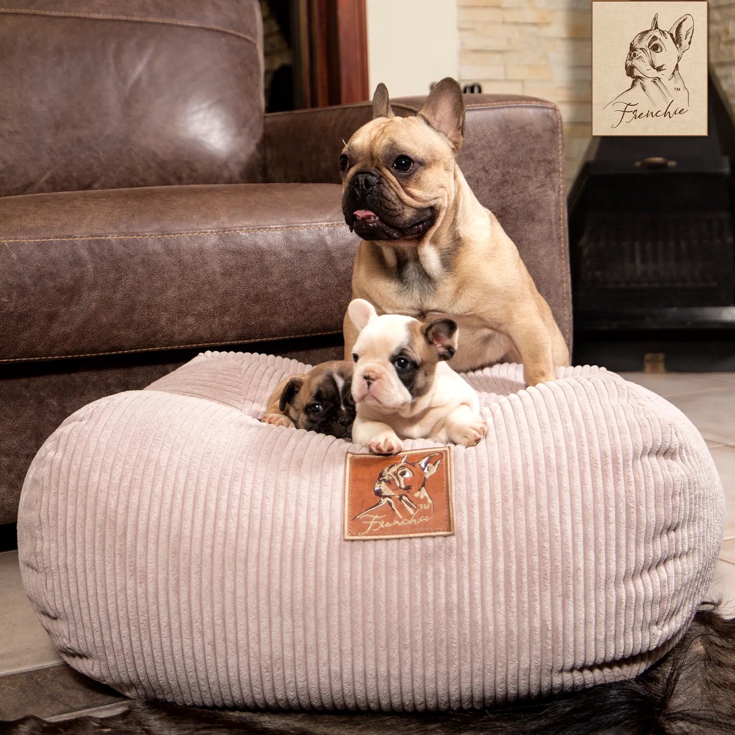 Discover The Comfort Of Frenchie Bean For Your Beloved Pet