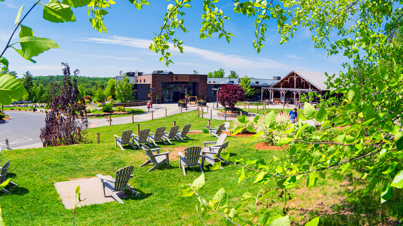 The Tree House Charlton taproom and grounds