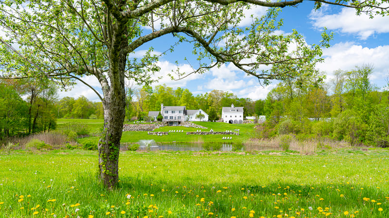 The Tree House Farm Brewery in Woodstock, CT
