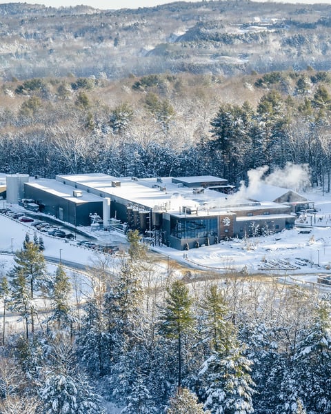 We were excited for some festive snow, but it seems that it might have vanished before our eyes.