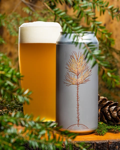 Seedling Whole Cone is a rendition of Seedling dry-hopped with select fresh whole cone Simcoe and Chinook.