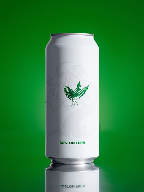 Boston Fern