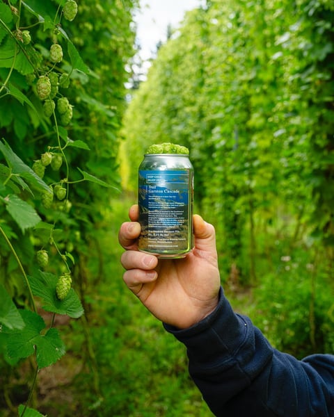 In our second year back at @garstonhops , we had a transformative learning experience.