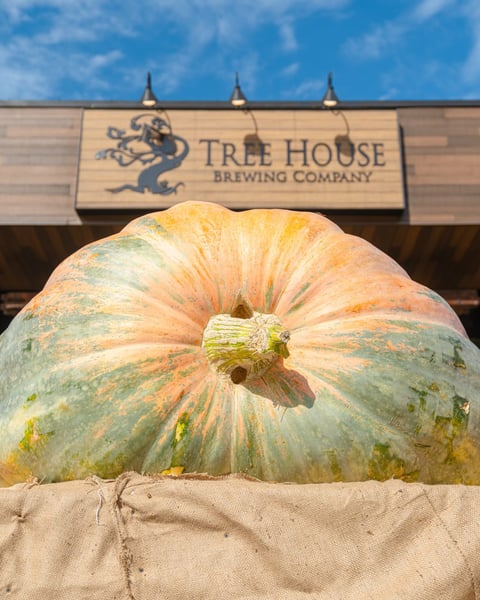 The big pumpkins - the really, really big pumpkins - are BACK in Charlton, Deerfield, Saratoga, Tewksbury, and Woodst…