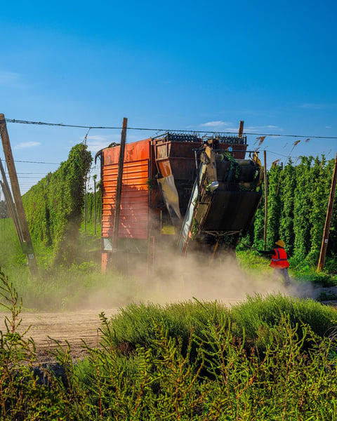 A novel method for hop harvest @hopsteiner.