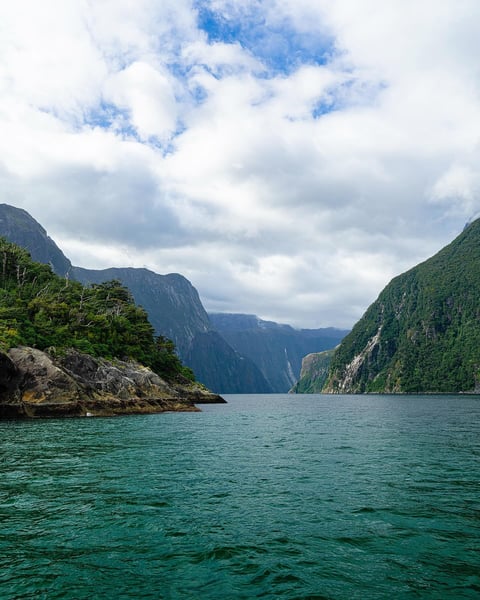Our friends @garstonhops reside just sixty miles as the crow flies from Milford Sound.