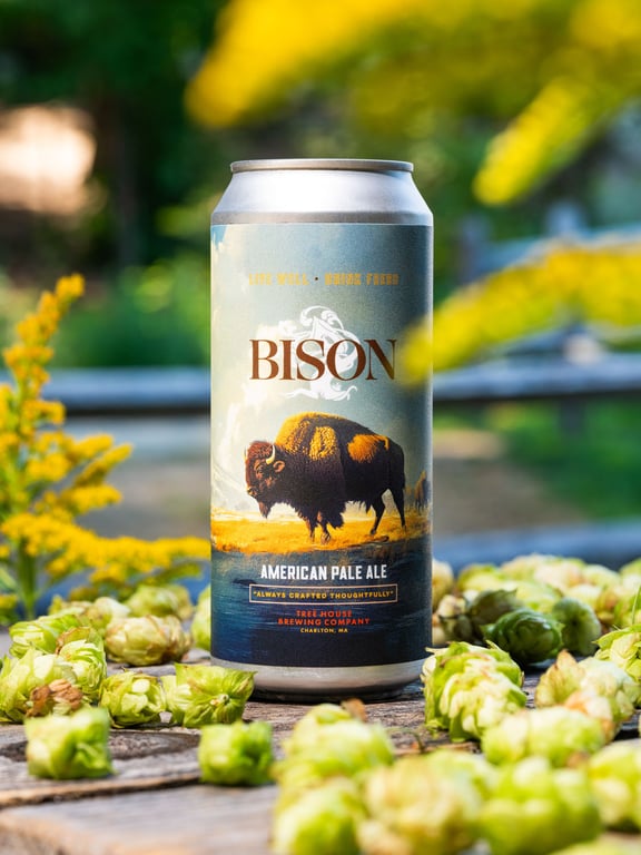 Bison