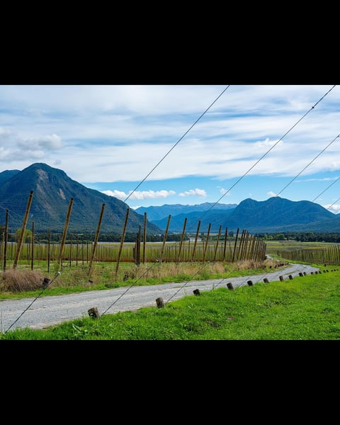 For years, we have shared our excitement about the distinct terroir in hops we’ve experienced worldwide—our next stop…
