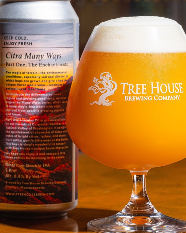 Citra Many Ways - Part One, The Enchantments