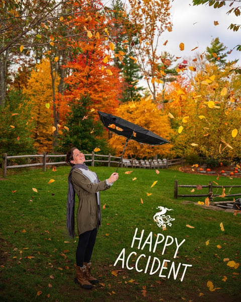 Happy little Accident.