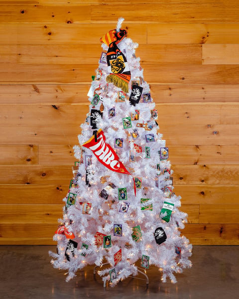 In the past 20+ years, the Festival of Giving Trees has raised over $793,000 to help the Silent Spring Institute, the…