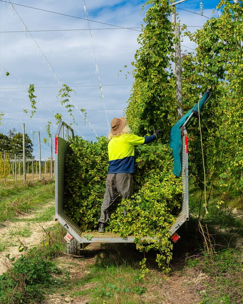 Our journey with Eggers began long before our trip when Kem Eggers visited Tree House during New Zealand’s off-season…