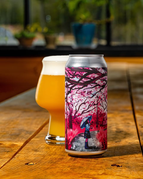 Today we're welcoming back a Ssspring favorite - New Day!