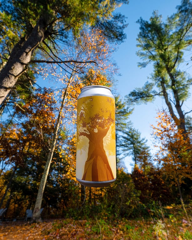 God of the Forest