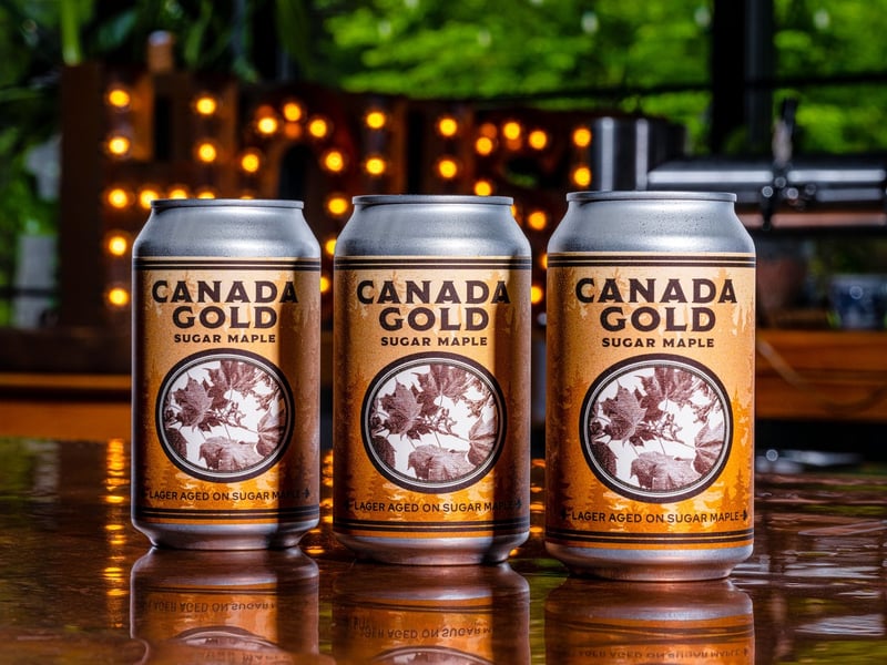 Canada Gold: Sugar Maple