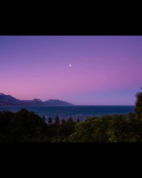 In New Zealand, only a few major roads traverse the islands, each with a very different appearance. Following our vis…