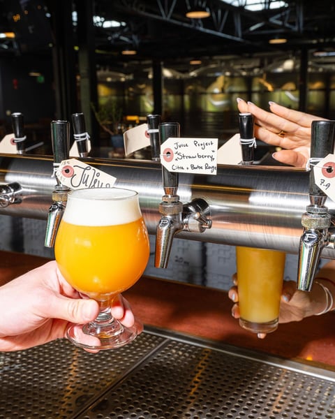 Tuesday special across Tree House Land - Juice Project Citra + Barbe Rouge Strawberry.