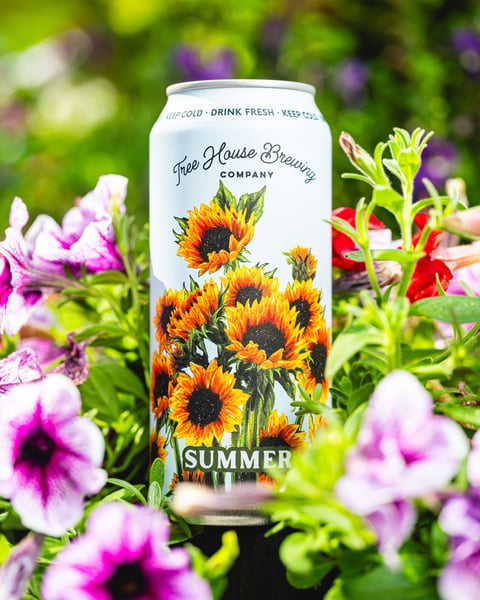 "Summer afternoon; to me those have always been the two most beautiful words in the English language.”- Henry James