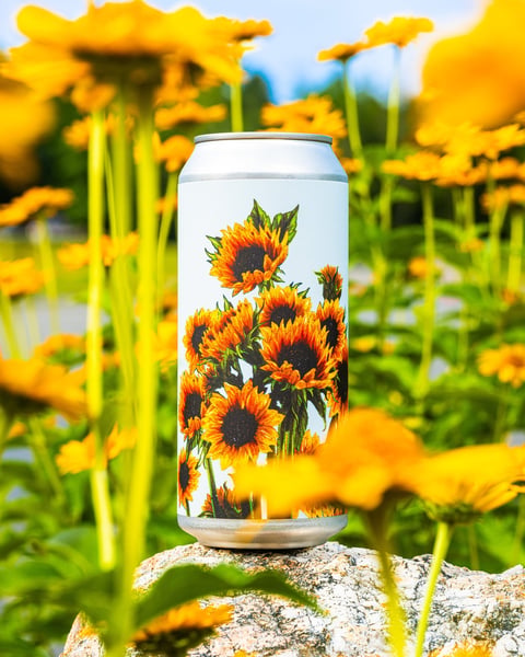 Summer is in full swing here at Tree House.