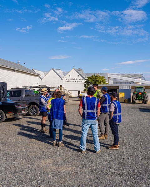The team visits Virgil Gamache & Sons Sunshine Ranch, home of the most beloved Amarillo.