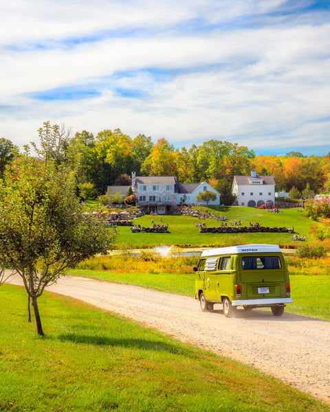 Autumn is the best season to visit Tree House, and given the tireless work leading up to it, this autumn in particula…