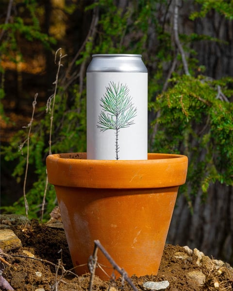 Today we are pleased to introduce Seedling!