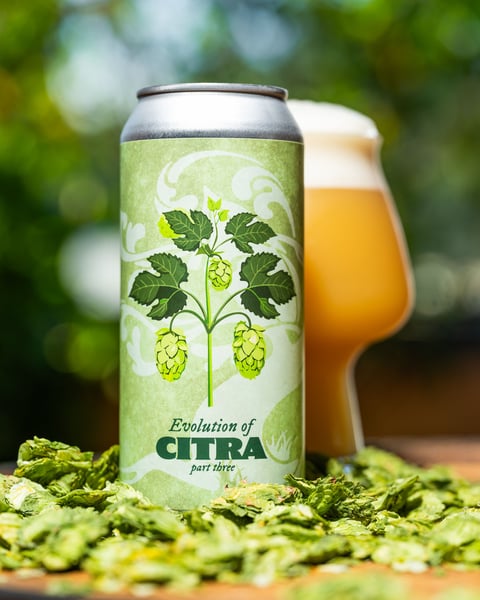 The Evolution of Citra continues this time with a classic Tree House IPA.