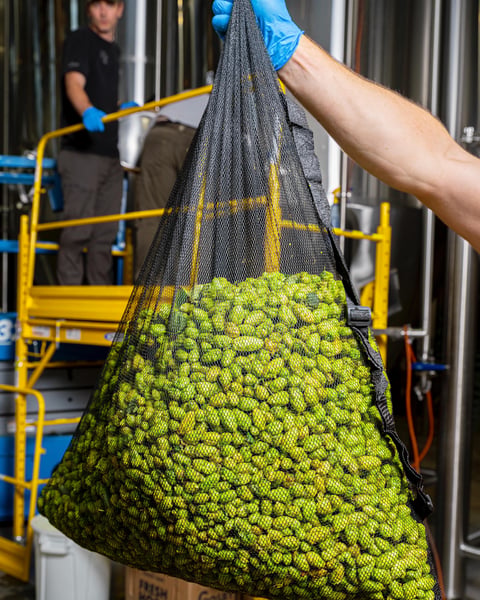 Our currently available wet-hopped lineup is by far the best we’ve ever produced, thanks not only to the team’s extra…