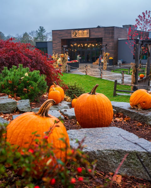 Don’t be afraid - it’s a cozy night to drink a beer at Tree House.
