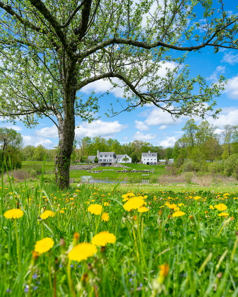 It would be difficult to overstate the serenity of visiting @treehousefarmbrewery in Woodstock, Connecticut as the la…