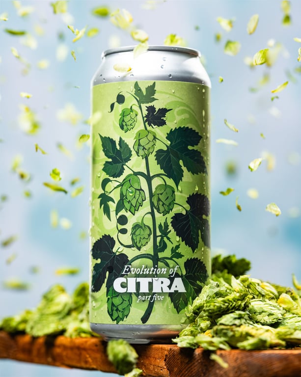 Evolution of Citra Part Five