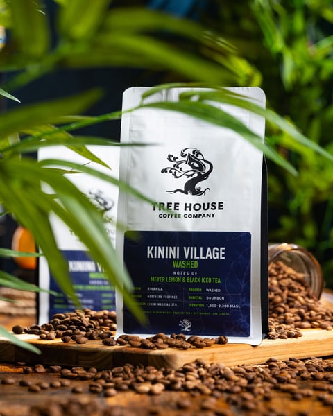 The companion release from our roastery is a washed version of the same varietal. Once the pulp is removed from the c…