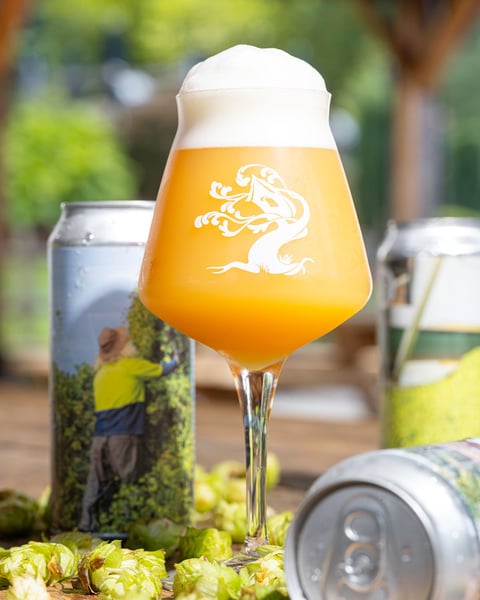 New Zealand hops might be relative newcomers to the American beer scene, but you can't grow hops this good without so…