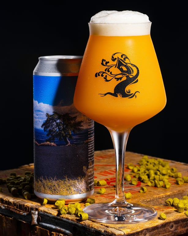 Citra Many Ways, Part Three - Craters of the Moon