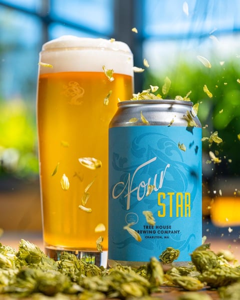 Today marks the official start of wet hop season at Tree House - and we've got quite the season planned.