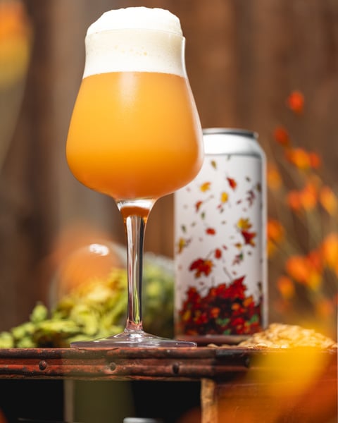 Autumn is absolutely packed with Galaxy hops and tastes somewhere in between tropical Hi-Chews and a pineapple smooth…