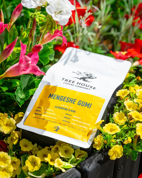 We also have the beans used in our Summer Crush Cold Brew available in whole bean form.
