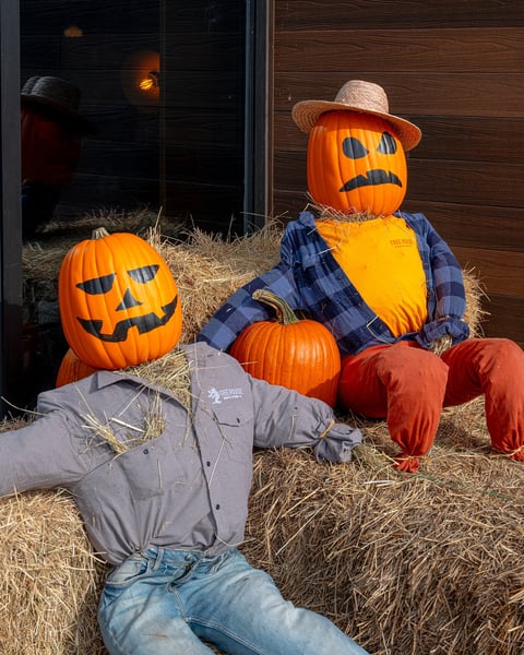 Had to cut these guys off, but at least they found a place to relax.