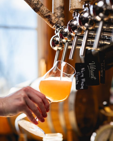 Exciting day down in Woodstock - today we're pouring a fresh batch of Vibrant, our House cider made with a blend of e…