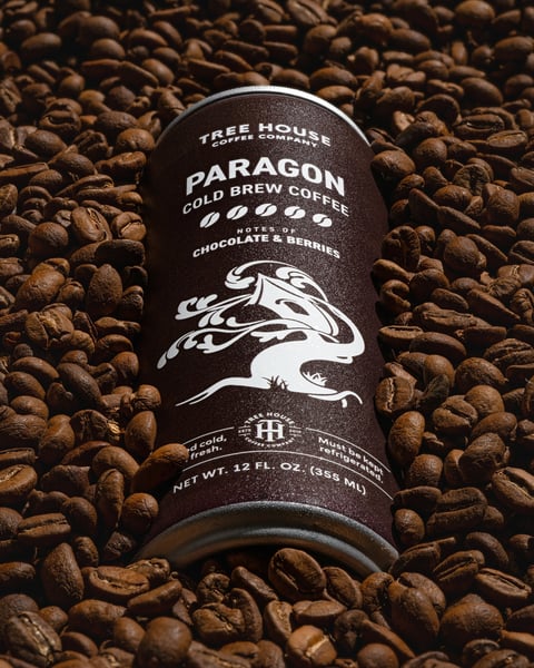 The definition of 'Paragon' is a thing viewed as a model of excellence.