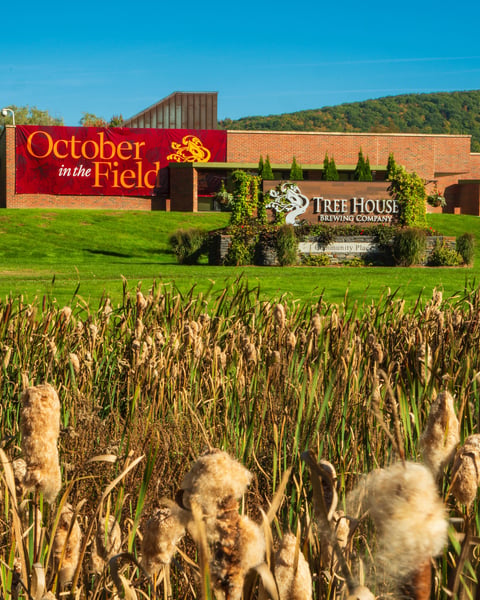 Cider donut lattes and frothy lagers. It’s October in the Field at Tree House in Deerfield.