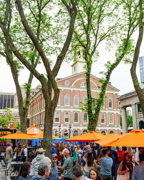 Tree House is flowing in the heart of Boston.