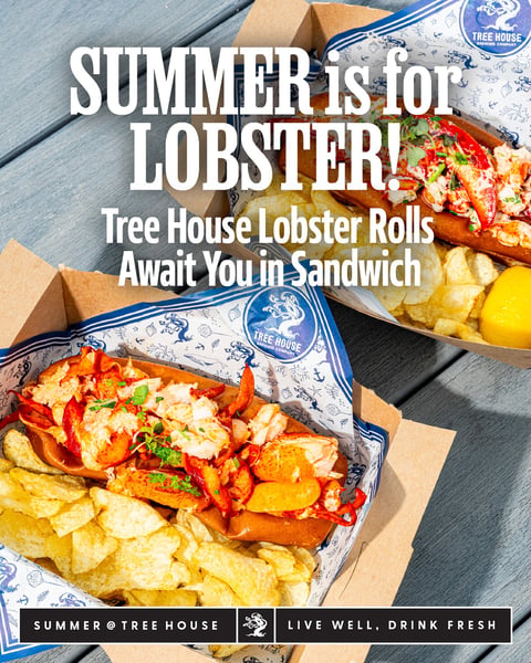 Summer is in full swing, friends.