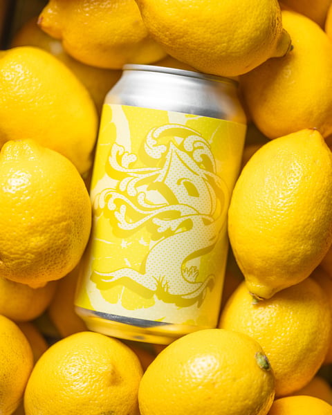 The simple and delicious Lemonade Seltzer was freshly spun this morning.