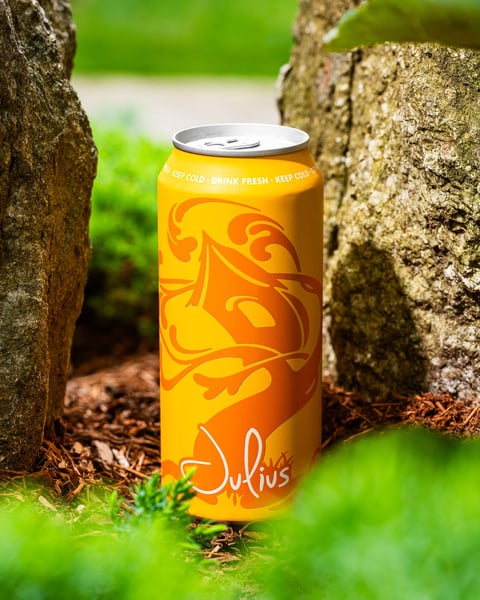 All roads lead to Julius.